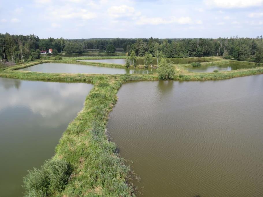 Ferienwohnung Mia Tirschenreuth Zewnętrze zdjęcie